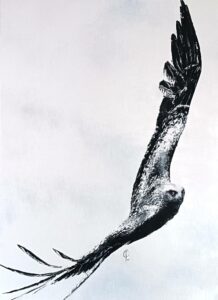 Aigle en noir et blanc avec touches de bleu outremer et laque écarlate. Envol puissant inspiré de la chanson de Barbara interprétée par Juliette Armanet